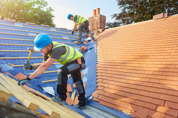 Best Roof Moss and Algae Removal  in Arlington, OH